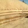 3785 Poduszka wełniana z wełny wielbłądziej Camel Jasny Greka 45x75