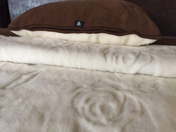 27 Pościel z wełny Camel Ciemny + Kaszmir Róża 140x200 + Materac wełniany