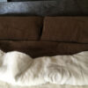 22 Pościel z wełny Camel Ciemny + Kaszmir Róża 220x200